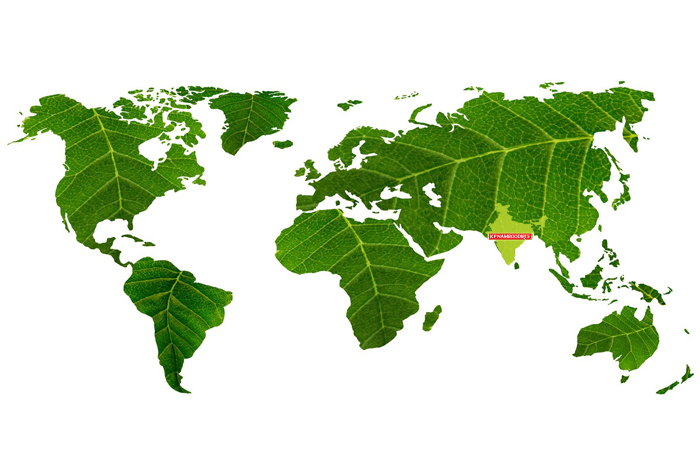 K P Namboodiri's market presence